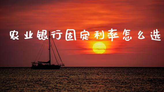 农业银行固定利率怎么选_https://www.gongyisiwang.com_原油期货_第1张
