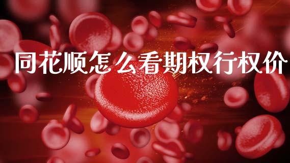 同花顺怎么看期权行权价_https://www.gongyisiwang.com_广发期货手续费_第1张