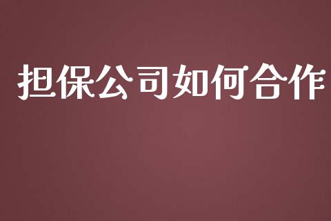 担保公司如何合作_https://www.gongyisiwang.com_广发期货手续费_第1张