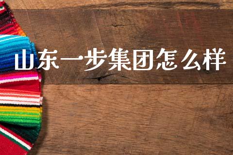 山东一步集团怎么样_https://www.gongyisiwang.com_恒指期货_第1张