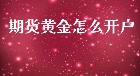 期货黄金怎么开户_https://www.gongyisiwang.com_焦炭期货手续费_第1张
