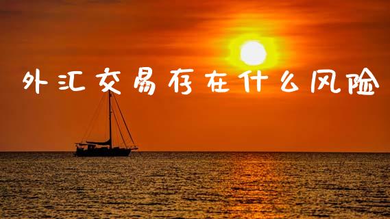外汇交易存在什么风险_https://www.gongyisiwang.com_股指期货交易手续费_第1张