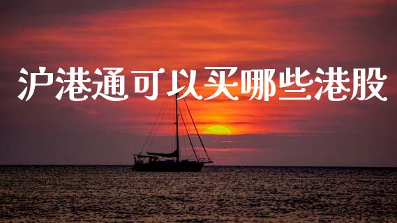 沪港通可以买哪些港股_https://www.gongyisiwang.com_广发期货手续费_第1张