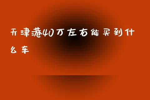 天津港40万左右能买到什么车_https://www.gongyisiwang.com_期货公司手续费排名_第1张