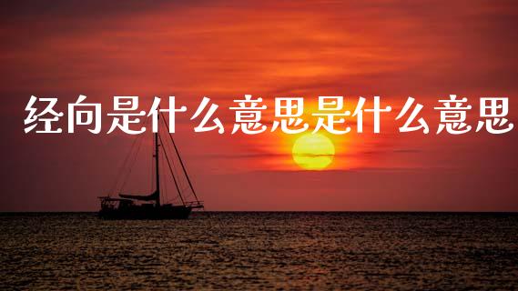 经向是什么意思是什么意思_https://www.gongyisiwang.com_股指期货交易手续费_第1张