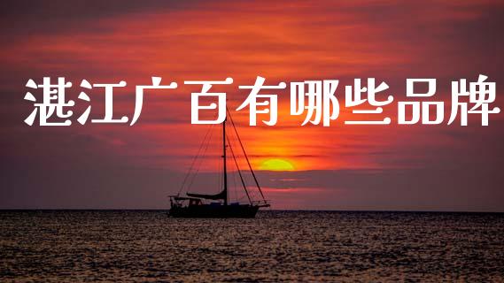 湛江广百有哪些品牌_https://www.gongyisiwang.com_期货公司手续费排名_第1张