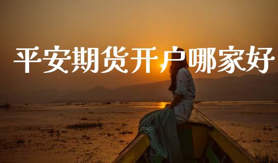 平安期货开户哪家好_https://www.gongyisiwang.com_焦炭期货手续费_第1张