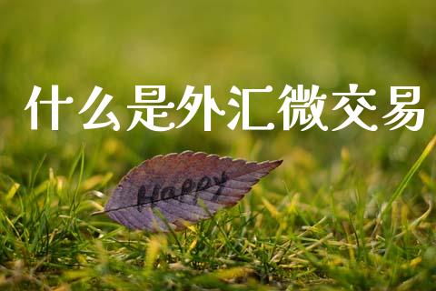 什么是外汇微交易_https://www.gongyisiwang.com_焦炭期货手续费_第1张