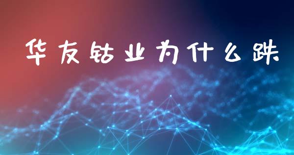 华友钴业为什么跌_https://www.gongyisiwang.com_道指_第1张