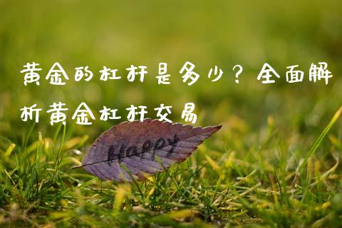 黄金的杠杆是多少？全面解析黄金杠杆交易_https://www.gongyisiwang.com_股指期货交易手续费_第1张