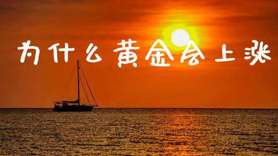 为什么黄金会上涨_https://www.gongyisiwang.com_广发期货手续费_第1张