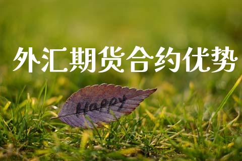 外汇期货合约优势_https://www.gongyisiwang.com_股指期货交易手续费_第1张
