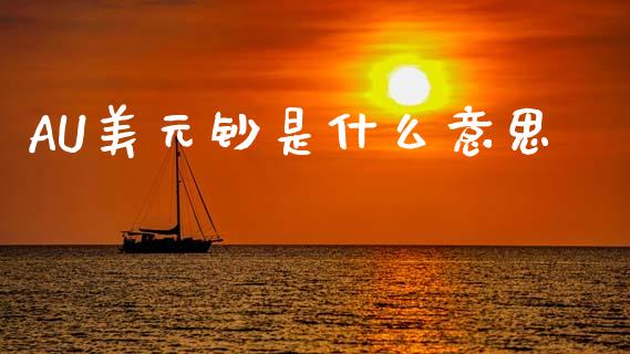 AU美元钞是什么意思_https://www.gongyisiwang.com_股指期货交易手续费_第1张