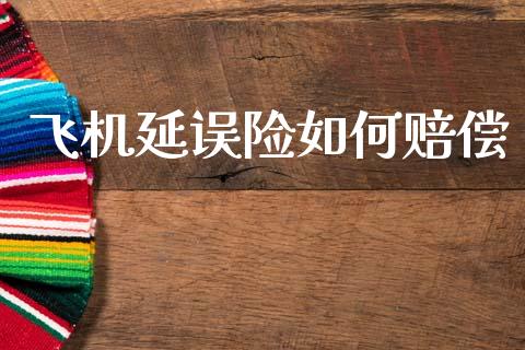 飞机延误险如何赔偿_https://www.gongyisiwang.com_焦炭期货手续费_第1张