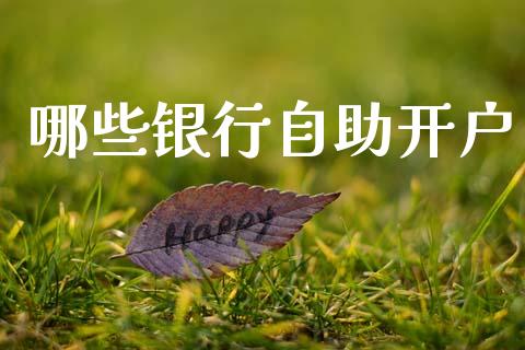 哪些银行自助开户_https://www.gongyisiwang.com_期货公司手续费排名_第1张