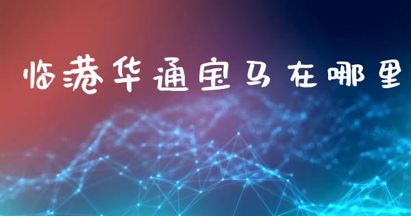 临港华通宝马在哪里_https://www.gongyisiwang.com_期货公司手续费排名_第1张