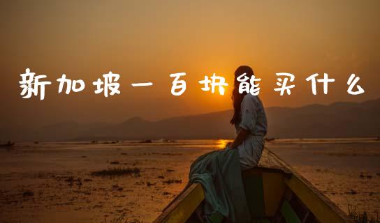 新加坡一百块能买什么_https://www.gongyisiwang.com_股指期货_第1张
