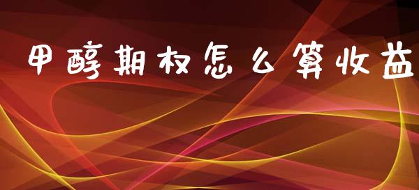 甲醇期权怎么算收益_https://www.gongyisiwang.com_股指期货交易手续费_第1张