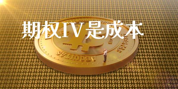 期权IV是成本_https://www.gongyisiwang.com_股指期货交易手续费_第1张