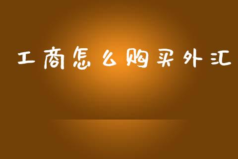 工商怎么购买外汇_https://www.gongyisiwang.com_恒指期货_第1张