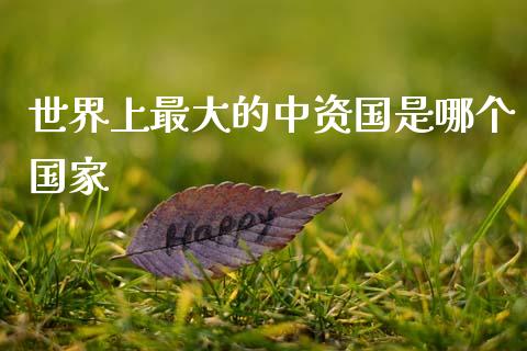 世界上最大的中资国是哪个国家_https://www.gongyisiwang.com_广发期货手续费_第1张