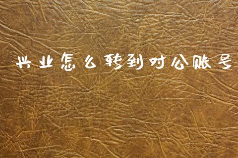 兴业怎么转到对公账号_https://www.gongyisiwang.com_广发期货手续费_第1张