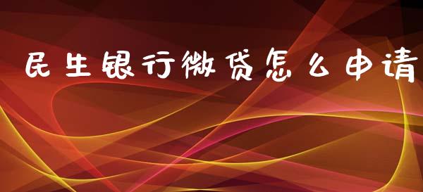 民生银行微贷怎么申请_https://www.gongyisiwang.com_原油期货_第1张