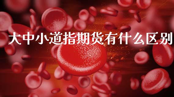 大中小道指期货有什么区别_https://www.gongyisiwang.com_恒指期货_第1张