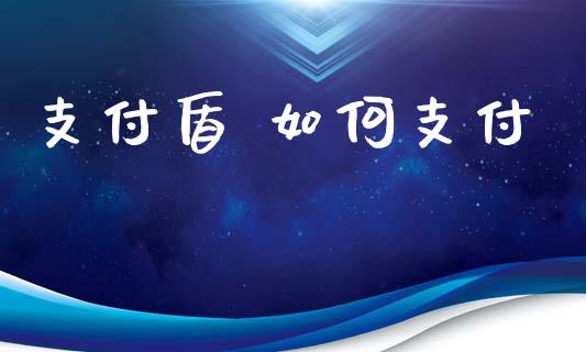 支付盾 如何支付_https://www.gongyisiwang.com_广发期货手续费_第1张