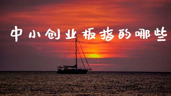 中小创业板指的哪些_https://www.gongyisiwang.com_焦炭期货手续费_第1张