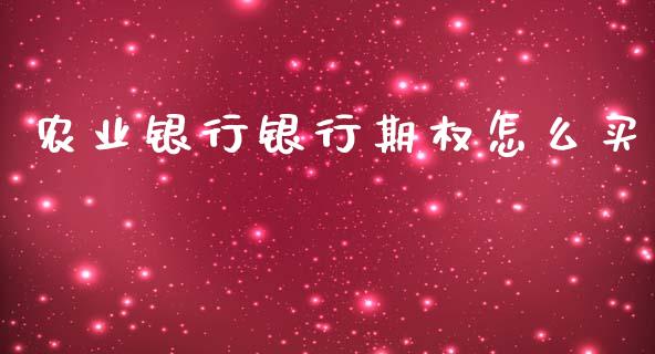 农业银行银行期权怎么买_https://www.gongyisiwang.com_股指期货_第1张