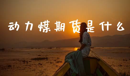 动力煤期货是什么_https://www.gongyisiwang.com_广发期货手续费_第1张