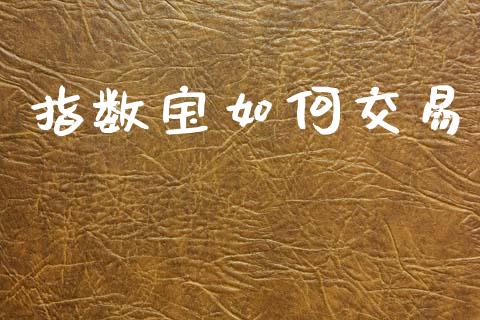 指数宝如何交易_https://www.gongyisiwang.com_广发期货手续费_第1张