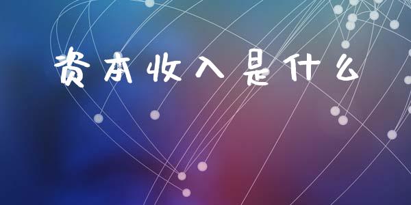 资本收入是什么_https://www.gongyisiwang.com_股指期货_第1张