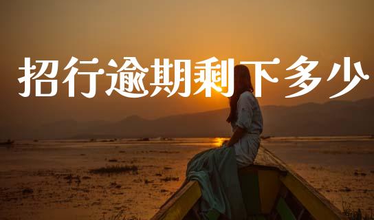 招行逾期剩下多少_https://www.gongyisiwang.com_期货公司手续费排名_第1张