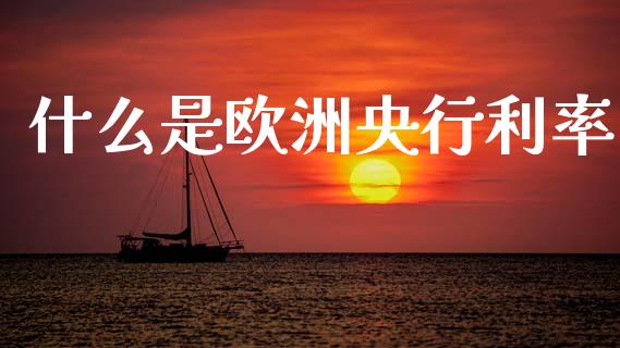 什么是欧洲央行利率_https://www.gongyisiwang.com_股指期货交易手续费_第1张