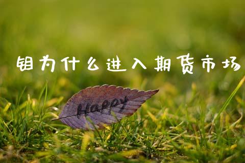 钼为什么进入期货市场_https://www.gongyisiwang.com_焦炭期货手续费_第1张