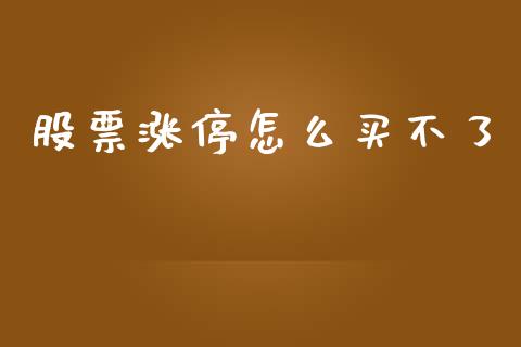 股票涨停怎么买不了_https://www.gongyisiwang.com_期货公司手续费排名_第1张