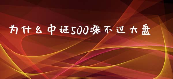 为什么中证500涨不过大盘_https://www.gongyisiwang.com_原油期货_第1张