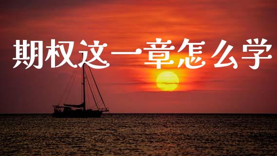 期权这一章怎么学_https://www.gongyisiwang.com_期货公司手续费排名_第1张