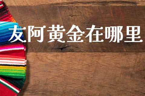 友阿黄金在哪里_https://www.gongyisiwang.com_股指期货交易手续费_第1张