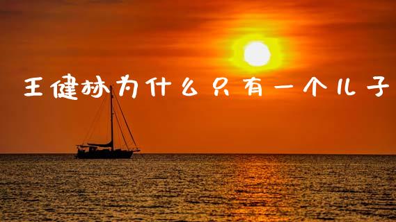 王健林为什么只有一个儿子_https://www.gongyisiwang.com_原油期货_第1张