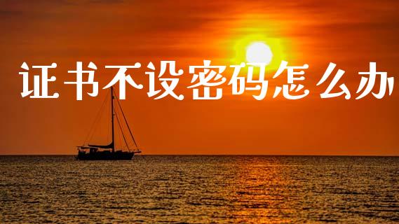 证书不设密码怎么办_https://www.gongyisiwang.com_原油期货_第1张
