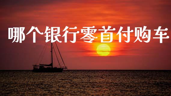哪个银行零首付购车_道指_第1张_股指期货交易手续费_广发期货手续费_期货公司手续费排名_焦炭期货手续费 哪个银行零首付购车_https://www.gongyisiwang.com_道指_第1张