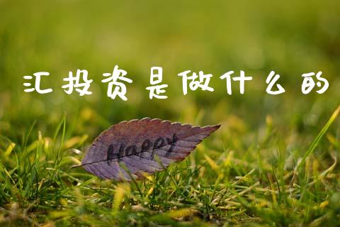 汇投资是做什么的_https://www.gongyisiwang.com_恒指期货_第1张