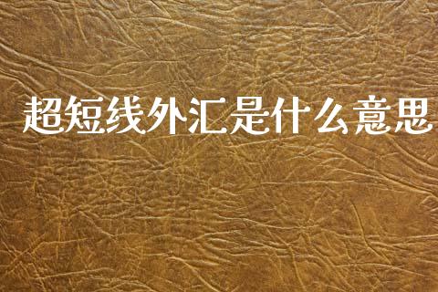 超短线外汇是什么意思_https://www.gongyisiwang.com_股指期货交易手续费_第1张