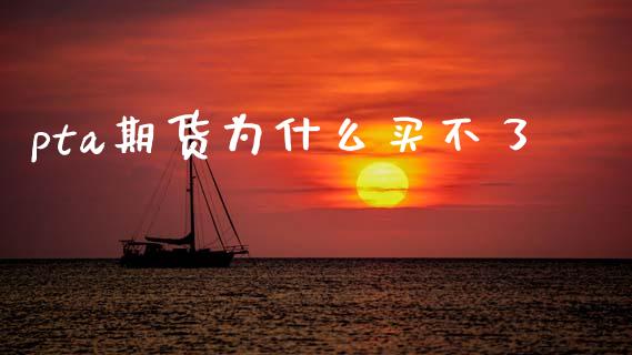 pta期货为什么买不了_https://www.gongyisiwang.com_股指期货交易手续费_第1张