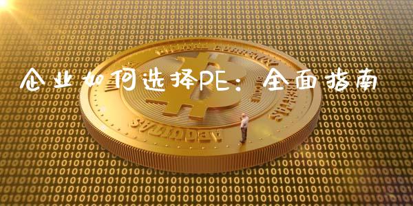 企业如何选择PE：全面指南_https://www.gongyisiwang.com_焦炭期货手续费_第1张