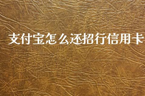 支付宝怎么还招行信用卡_https://www.gongyisiwang.com_股指期货交易手续费_第1张