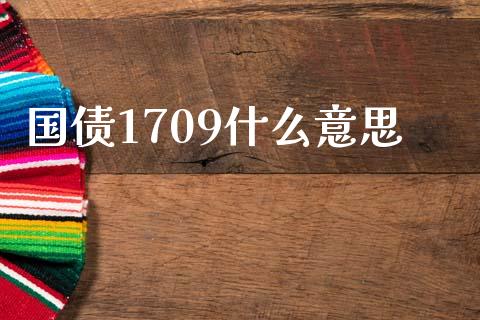 国债1709什么意思_https://www.gongyisiwang.com_焦炭期货手续费_第1张